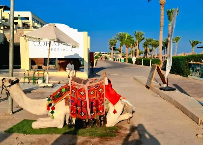 Hills Coral * Sharm el Sheikh